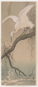 小さな白鷺、1910年頃（カラー木版印刷）